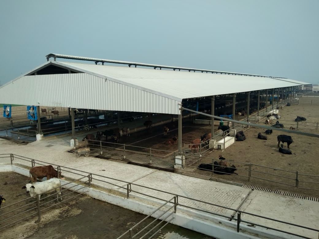Exterior view of our modern cattle shed facility