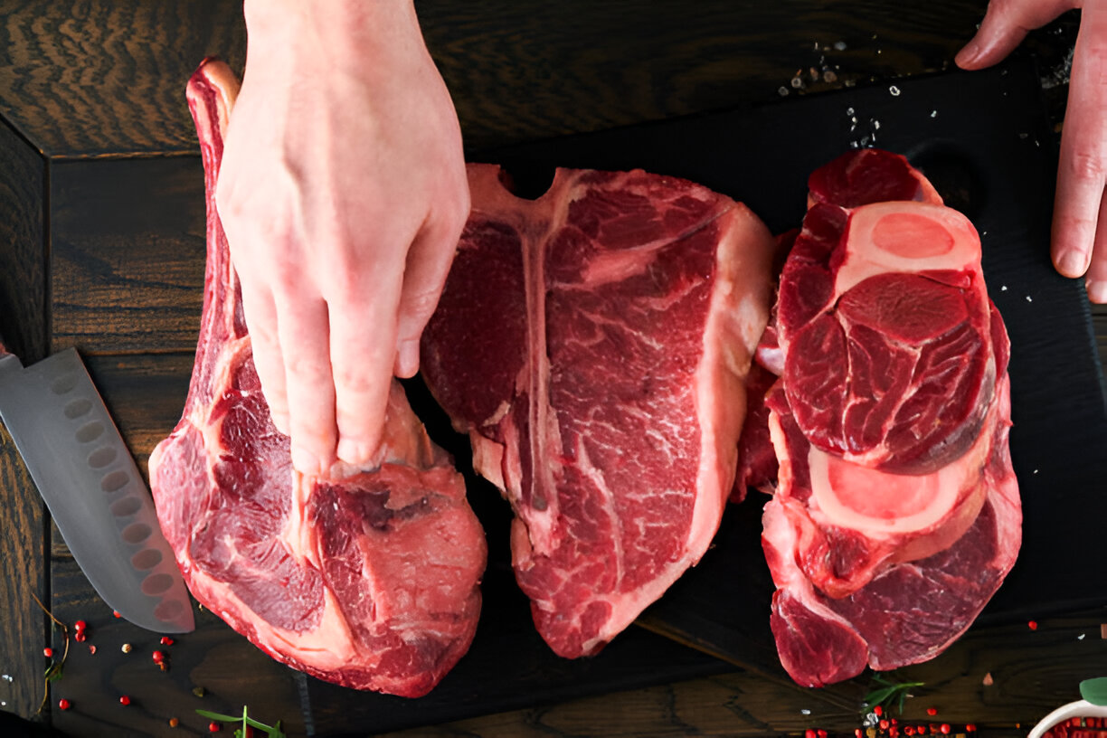 Premium quality cattle at HAFL
