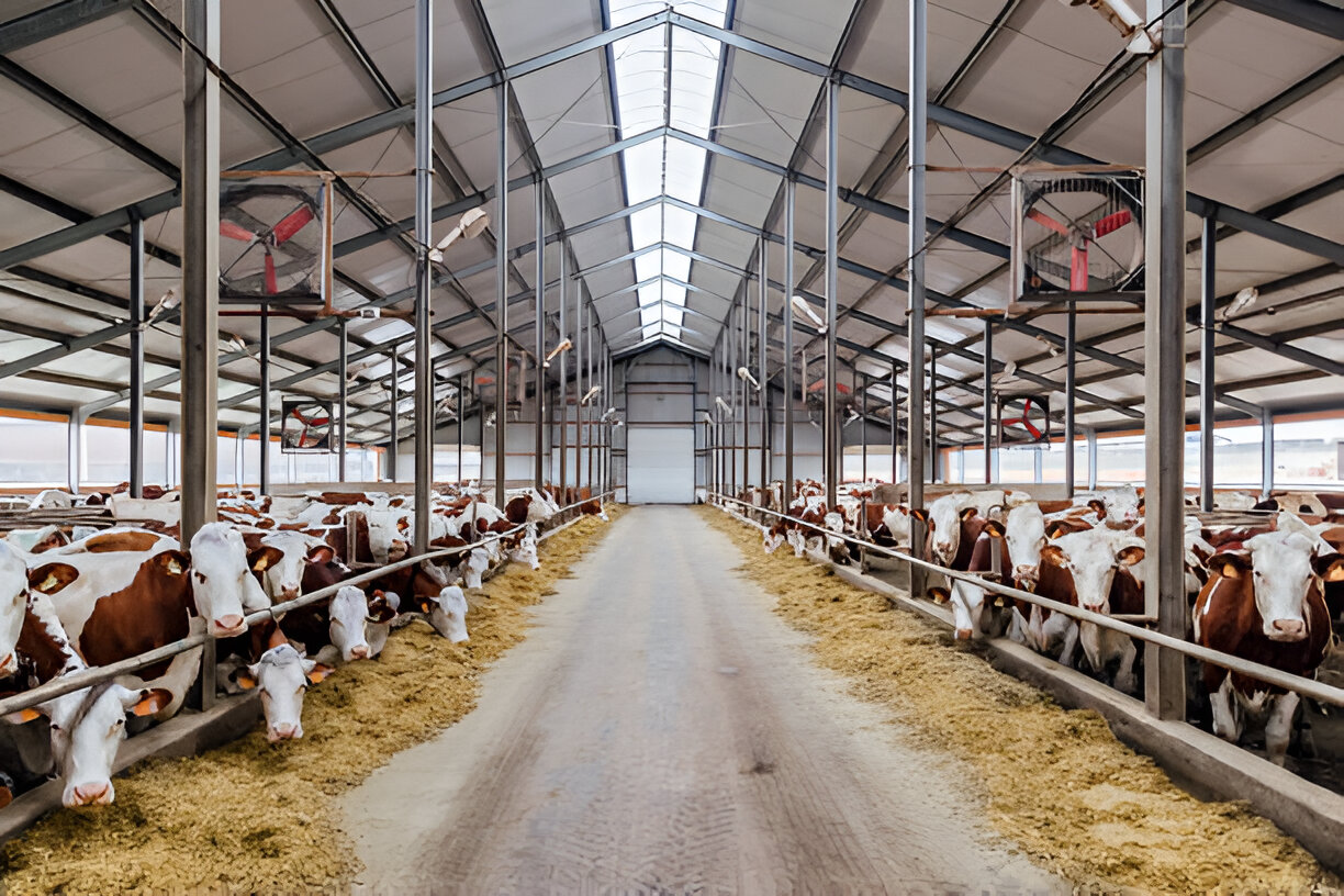 Modern cattle facility at HAFL
